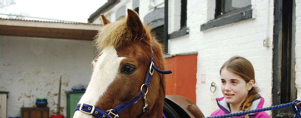 Welcome to Catterick Garrison Saddle Club